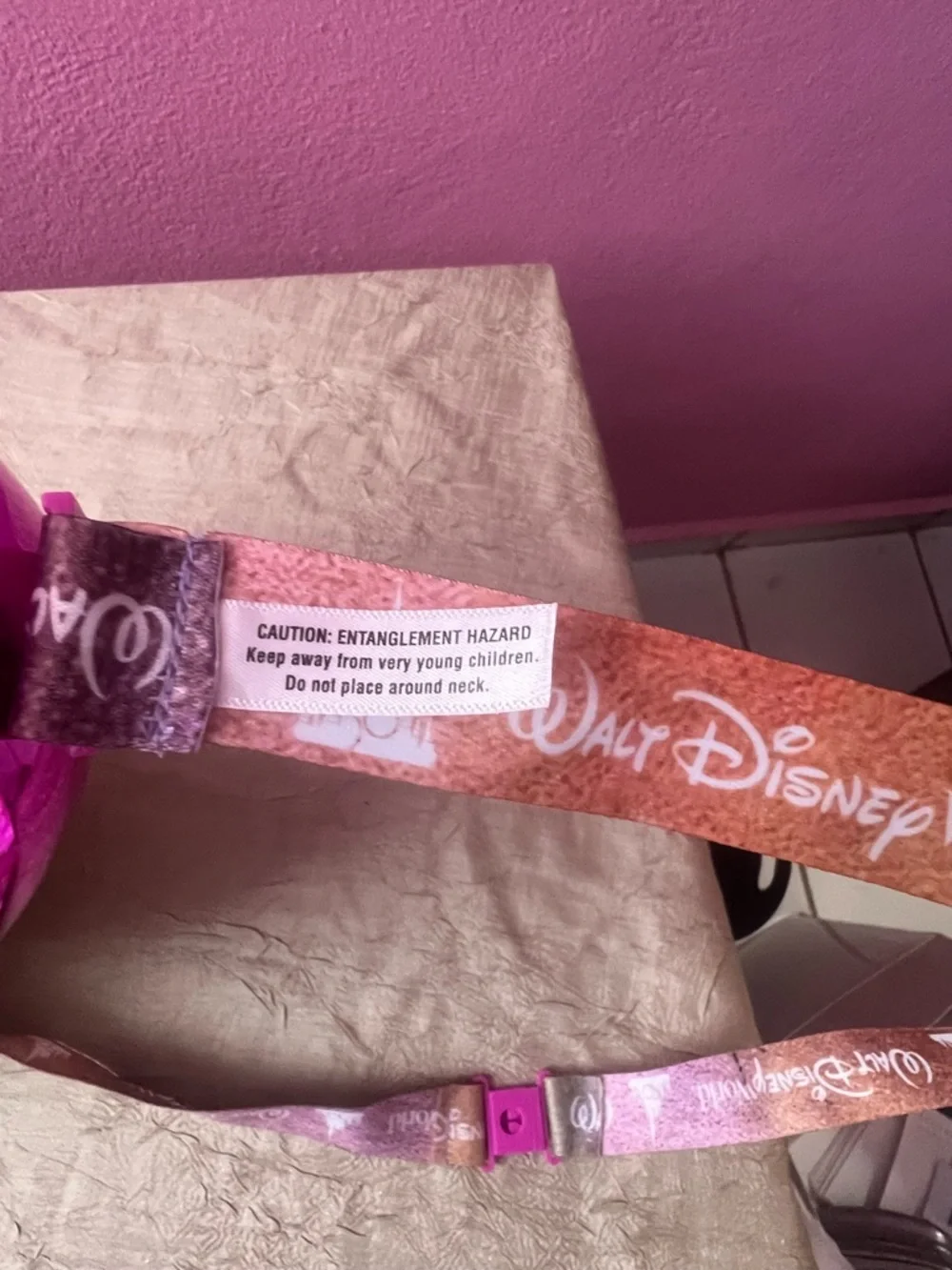 Disney official parks